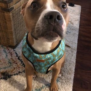 Meet your Posher, Christopher